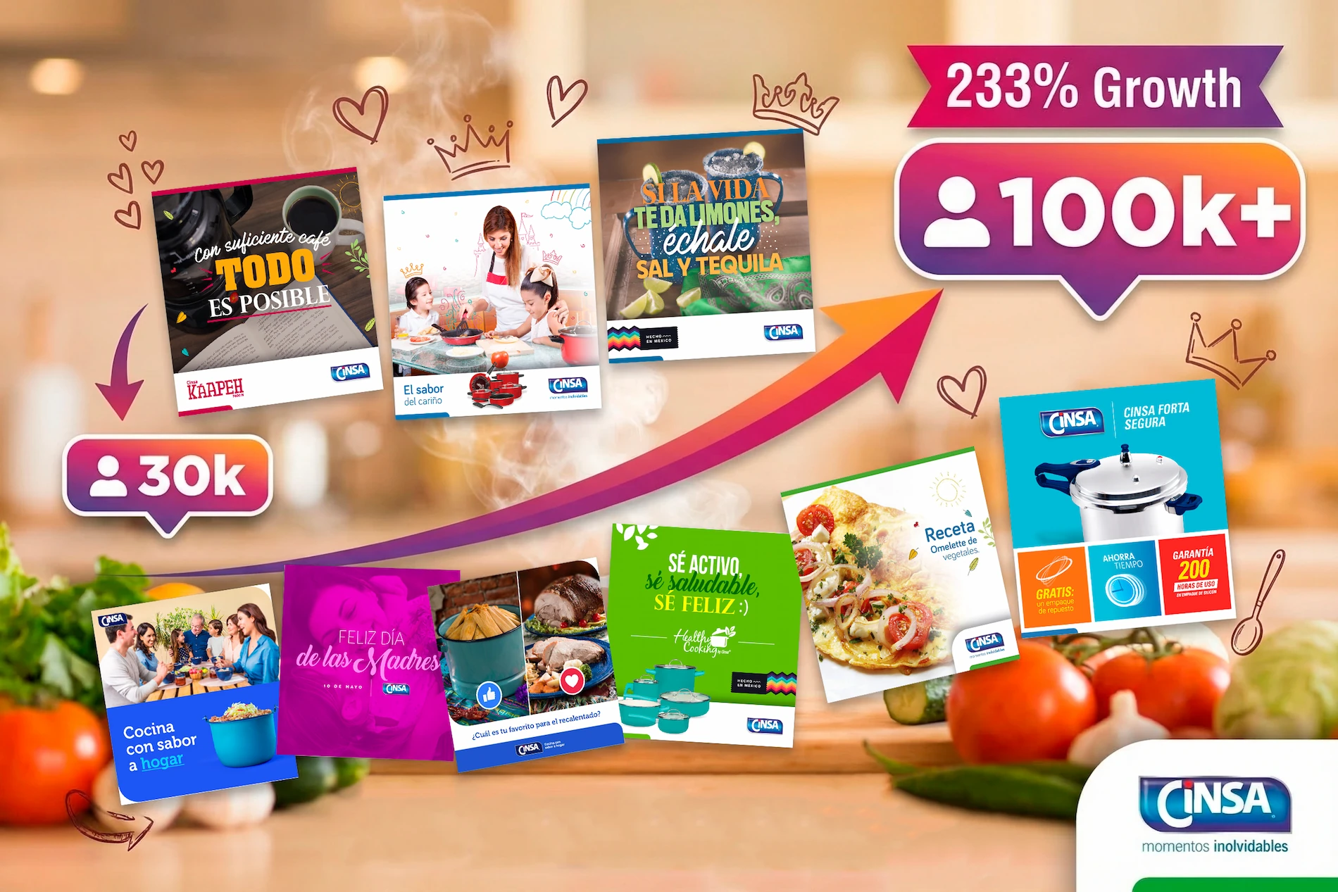 Cinsa Digital Marketing Strategy and Social Media Engagement Growth