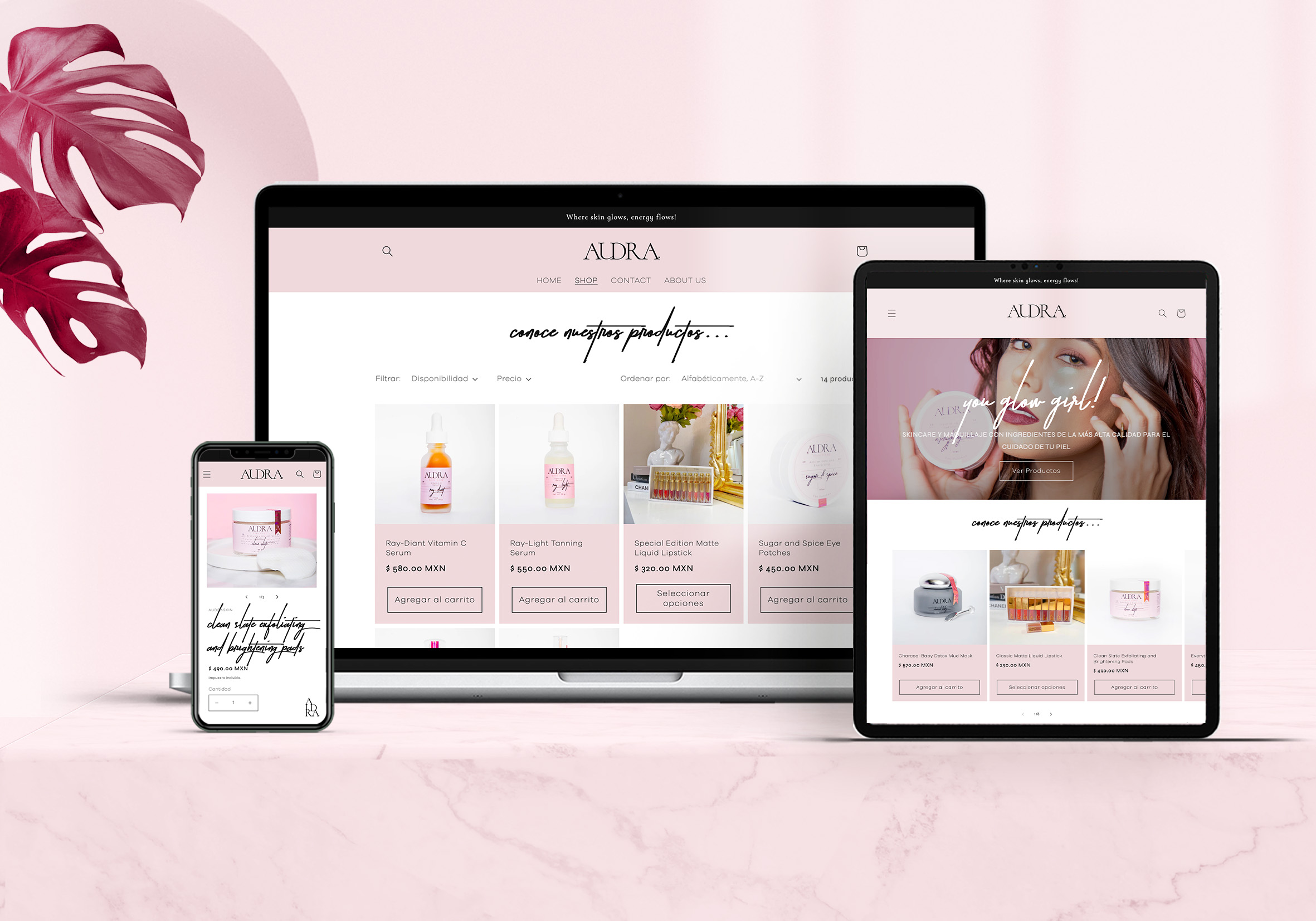 Audra Skin Care Custom Webpage Design